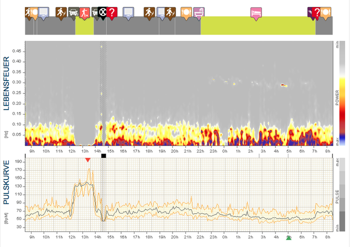 nach drei Monaten Triathlon-Training