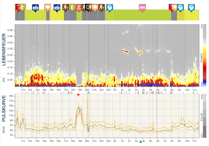 Triathlon-Trainingsbeginn