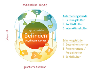 Balance-Modell nach Wieck & Purzner