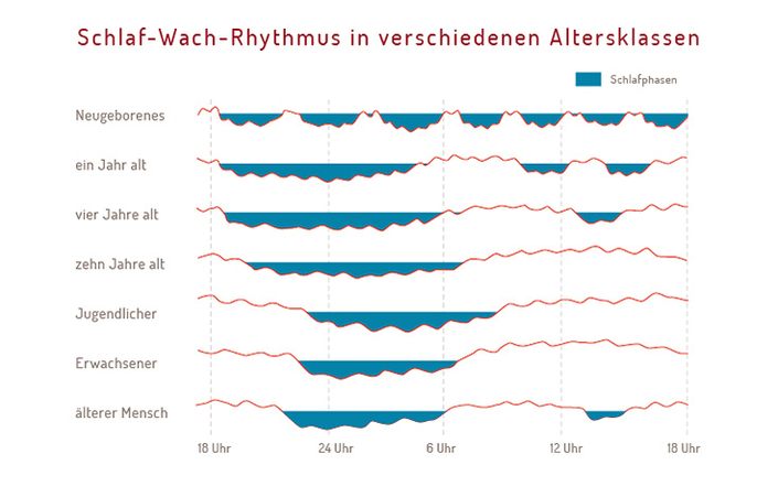 Schlaf-Wach-Rhythmus in den verschiedenen Altersphasen